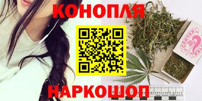 mdpv Краснознаменск