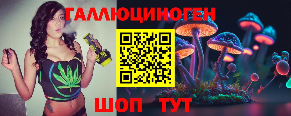 Красноармейск  Псилоцибиновые грибы MAGIC MUSHROOMS  Псилоцибиновые грибы мицелий  Вход с VPN 